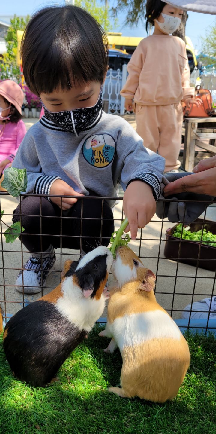 큰성지어린이집 이미지
