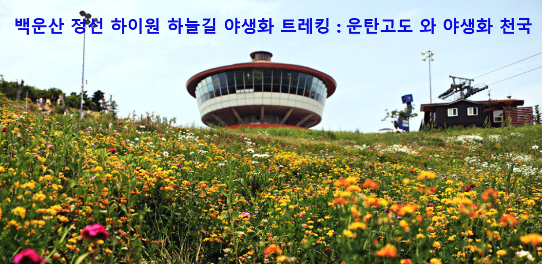 하이원테크 이미지
