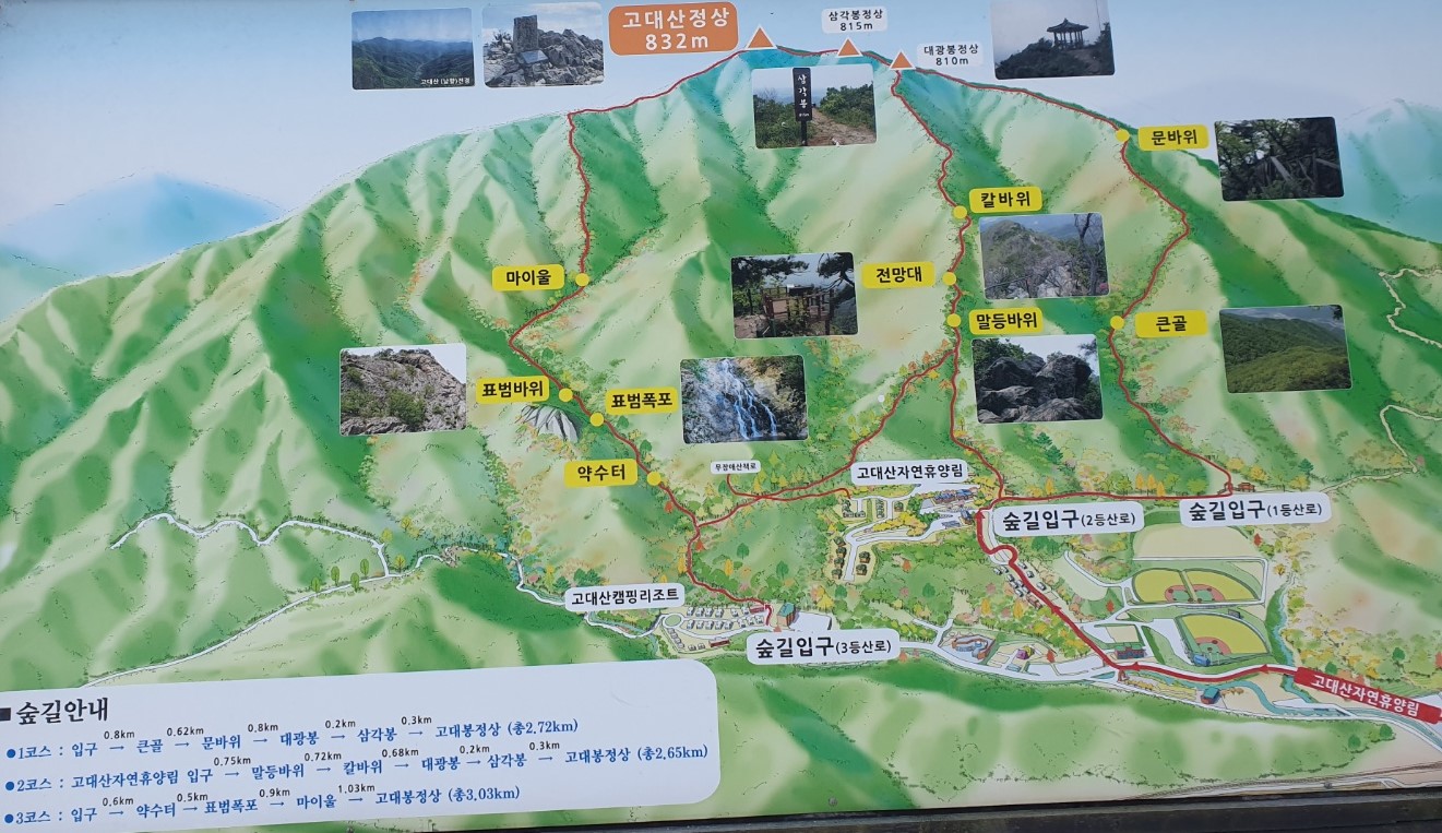 21세기축산물백화점 이미지