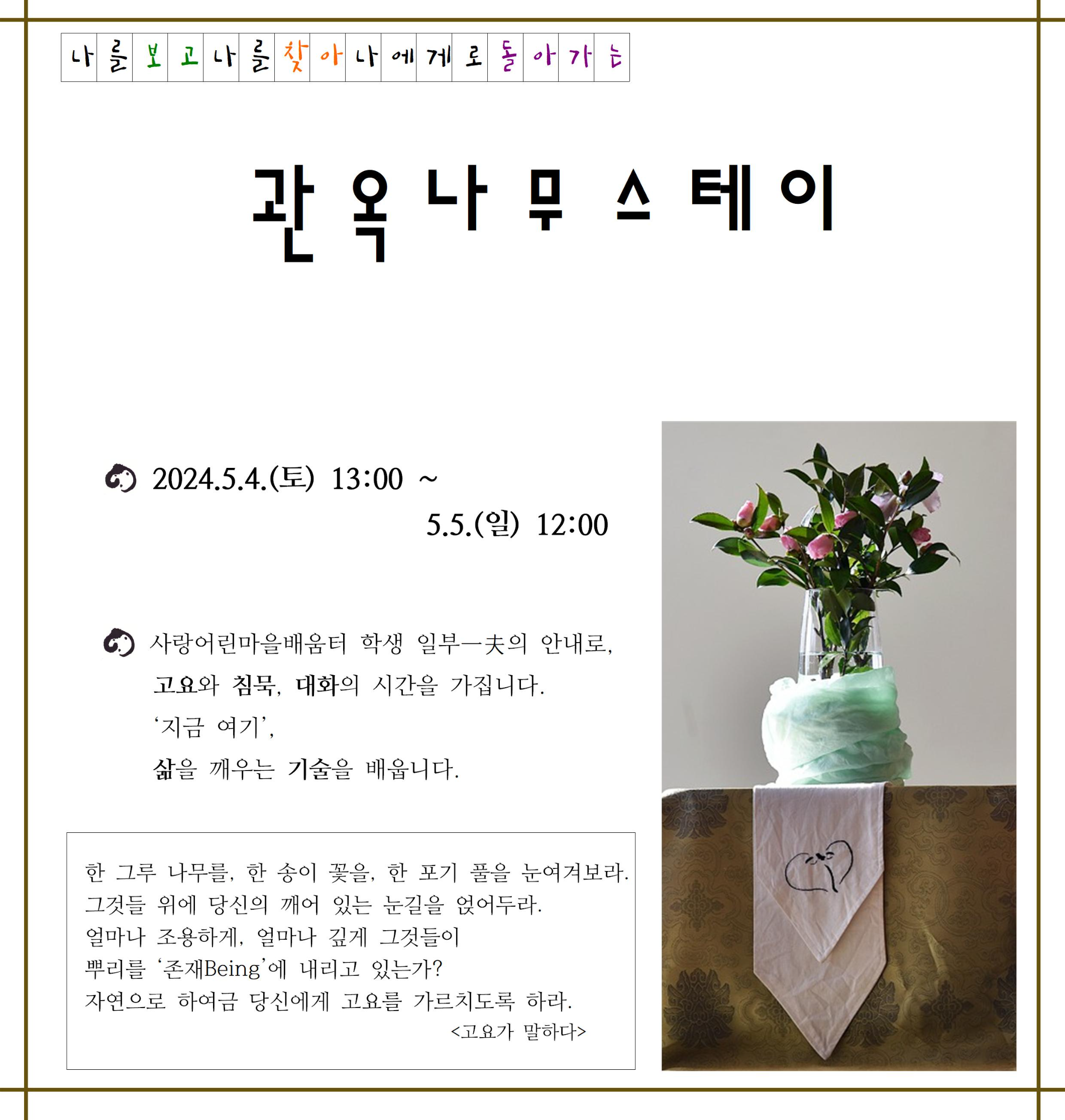 스테이나무 이미지