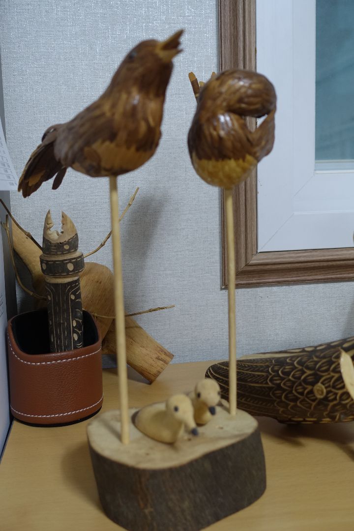 (주)약용식물교육개발원 이미지