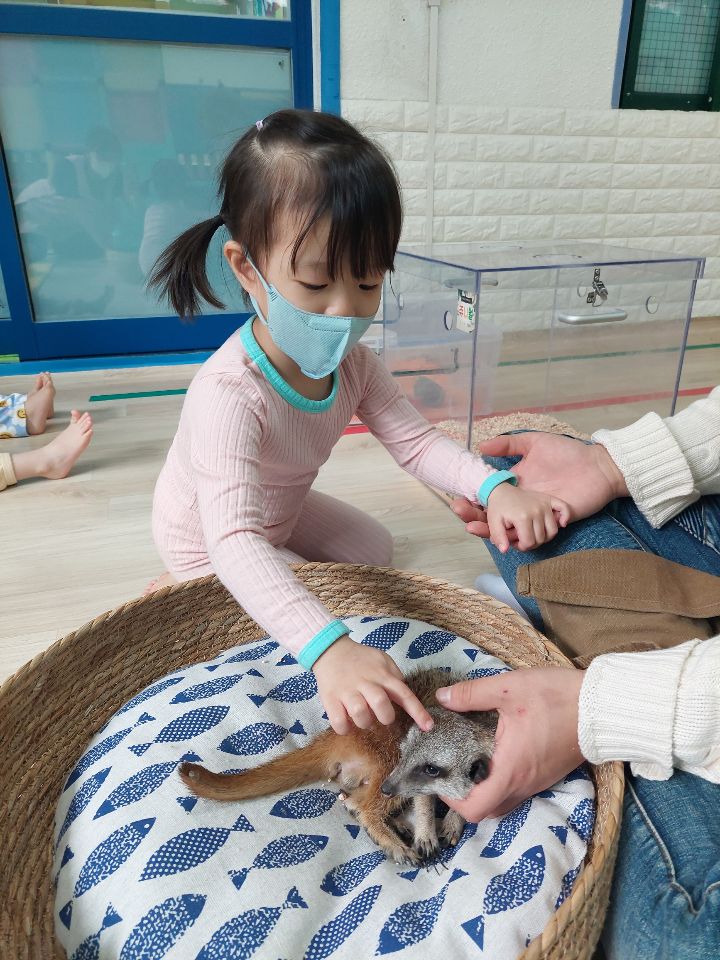 쥬니멀 이미지