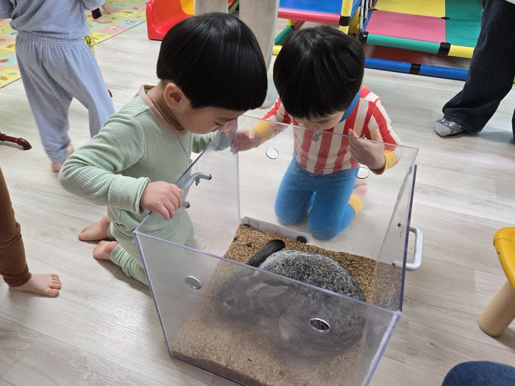 쥬니멀 이미지