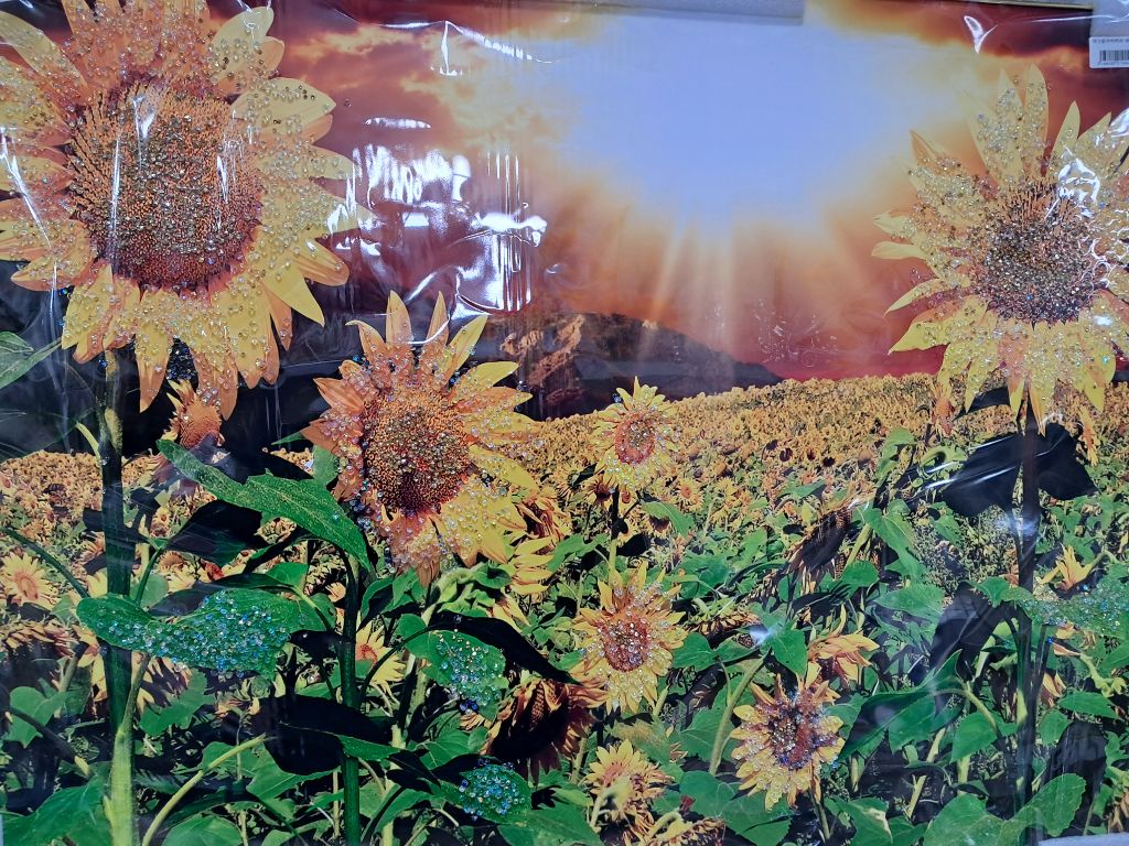모아쇼핑 이미지