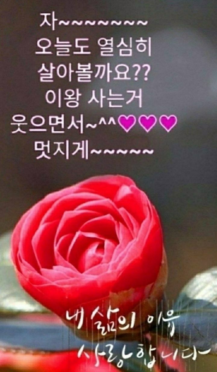 쁘니고 이미지
