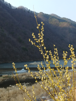 상방림교(상) 이미지