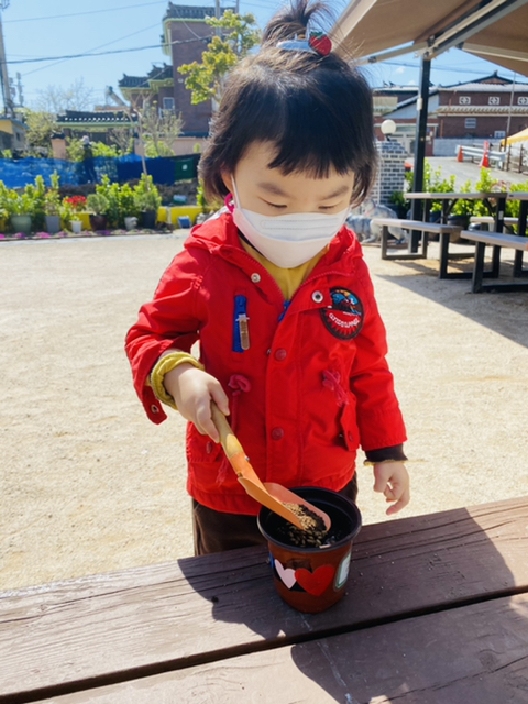 보리마루1 이미지