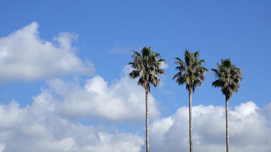 a5eaf92e15002849fb8e662a1bf1f26c650083e9