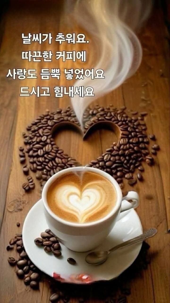 드시오 이미지