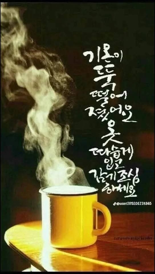 드시오 이미지