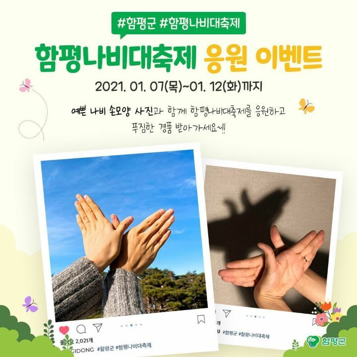 나비이벤트 이미지