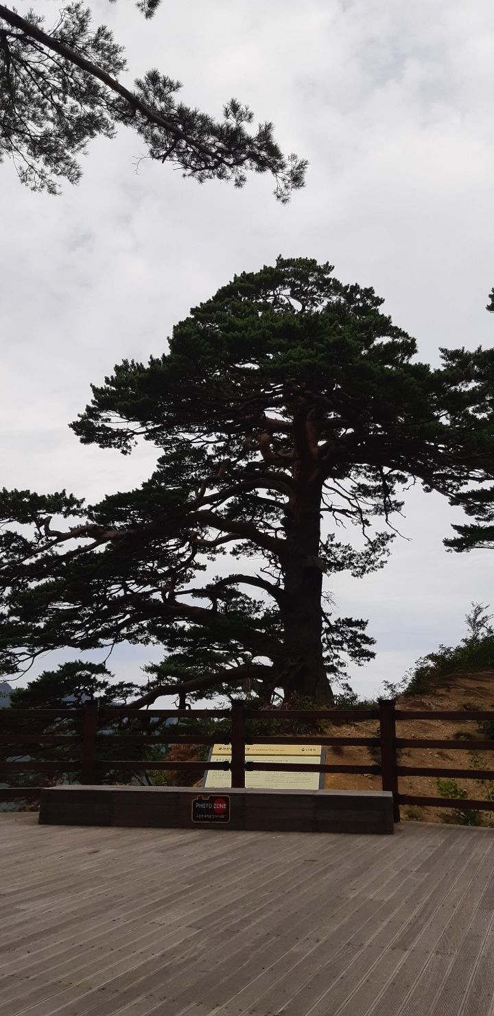 서부관광주유소 이미지