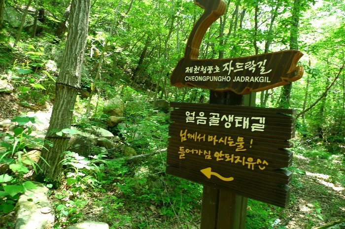 내서IC주유소 이미지