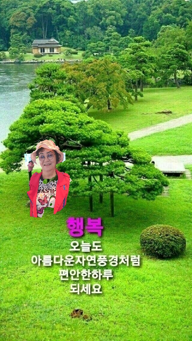 종로은행나무집 이미지