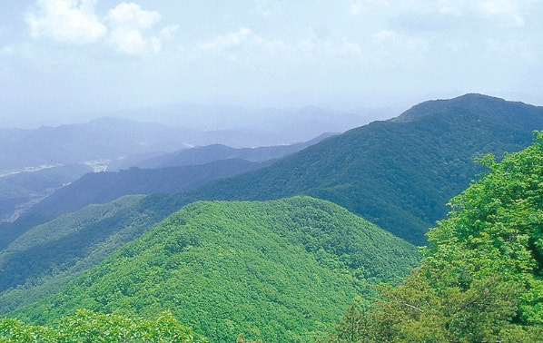 산 이미지