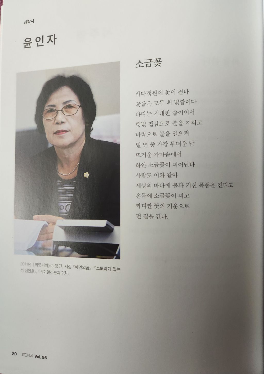 소금꽃 이미지