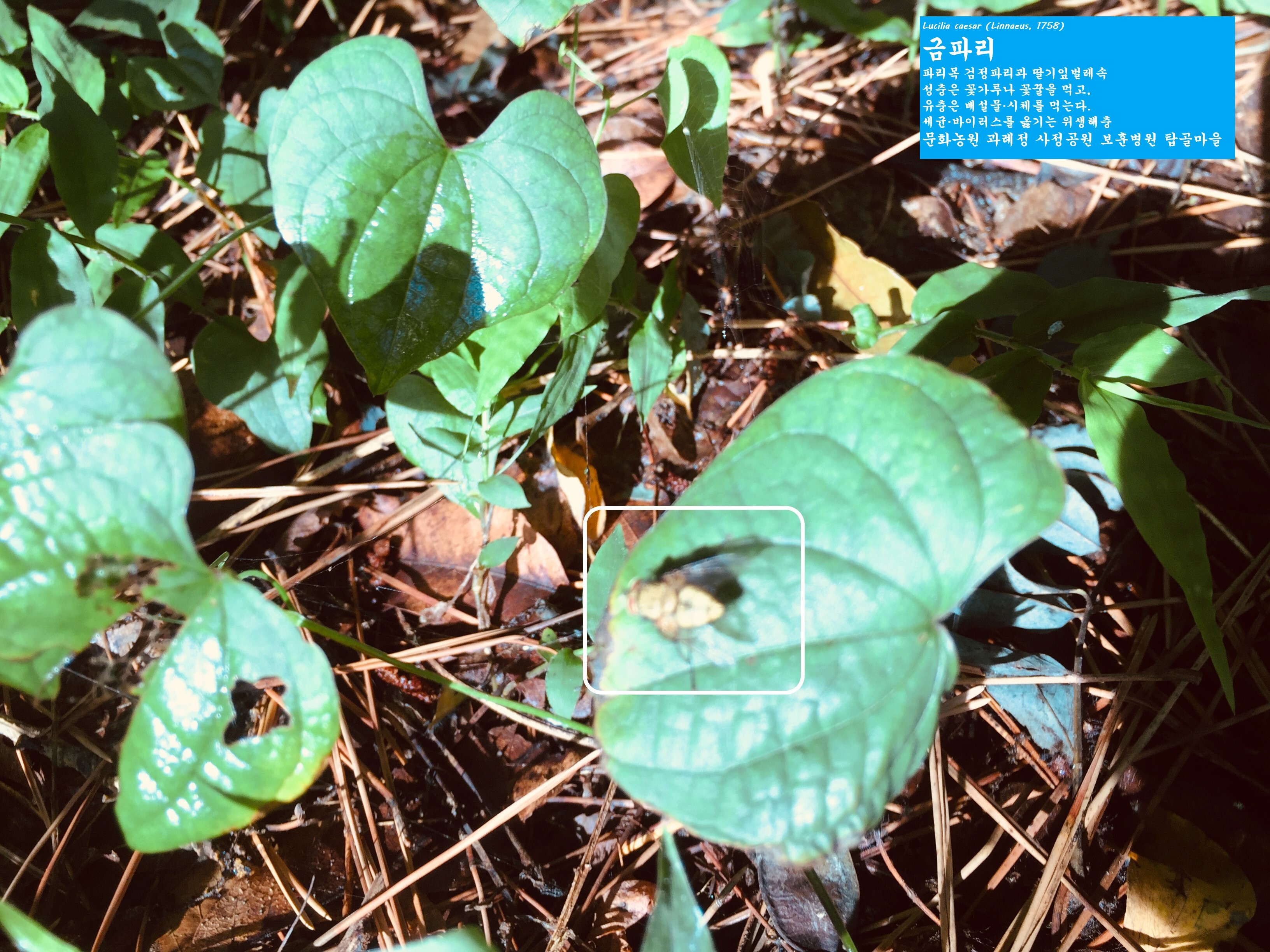 문화농원 이미지