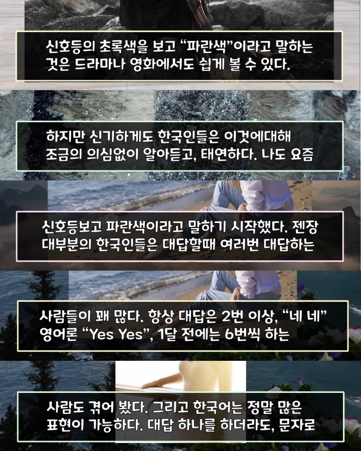 해외 커뮤에 외국인이 올린 글 | 인스티즈