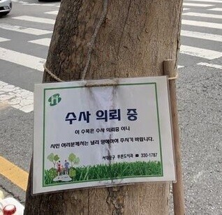 스타벅스 앞 이미지