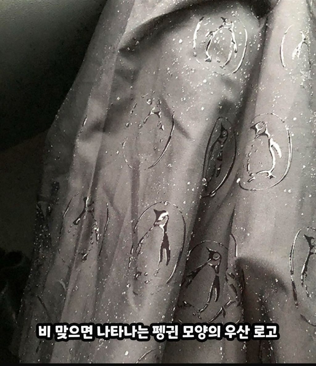 센스디자인 이미지