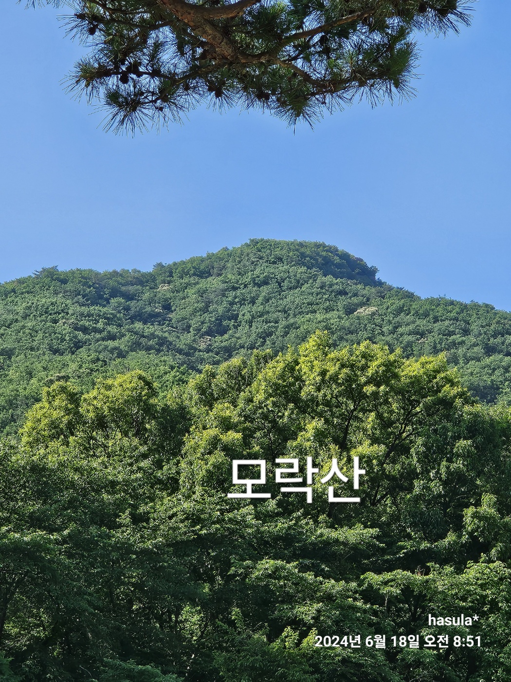 모락산(의왕) - 산행사진(미성) - nalani 나라니 모락산(의왕)