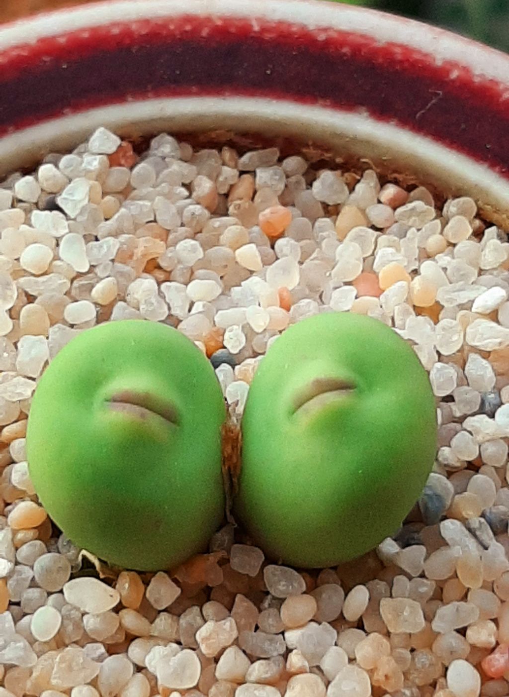 예뻐져라 이미지
