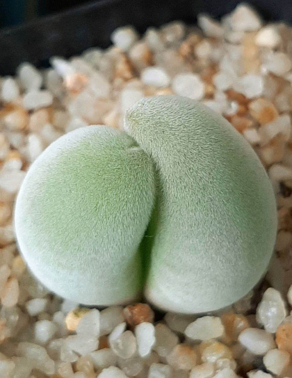 오늘도;예쁜 이미지