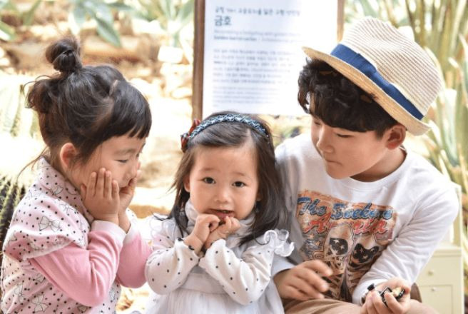 웰빙건강나라 이미지