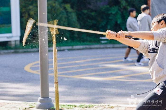 무예도보통지남한산성전통무예 이미지