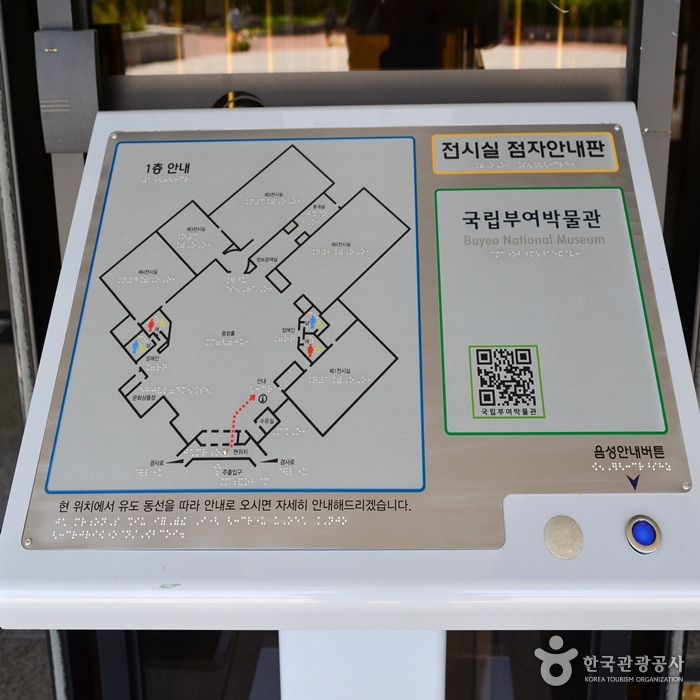 부여꽃 이미지