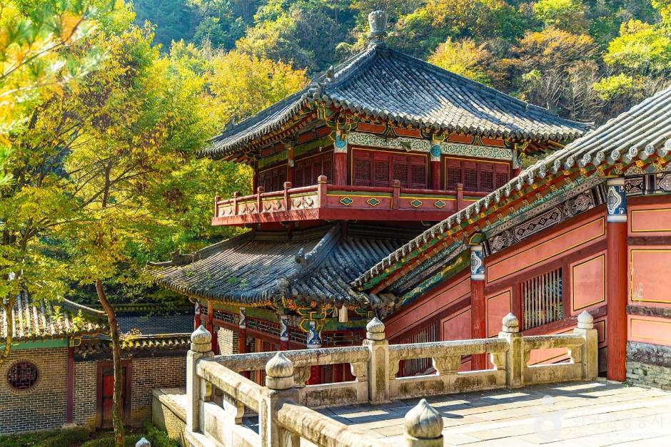 단양흑마늘빵 이미지