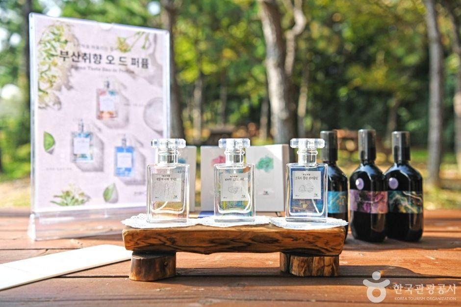 주식회사모습 이미지