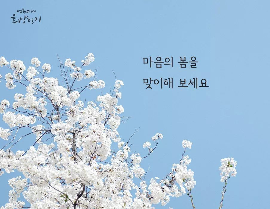 봄날 이미지
