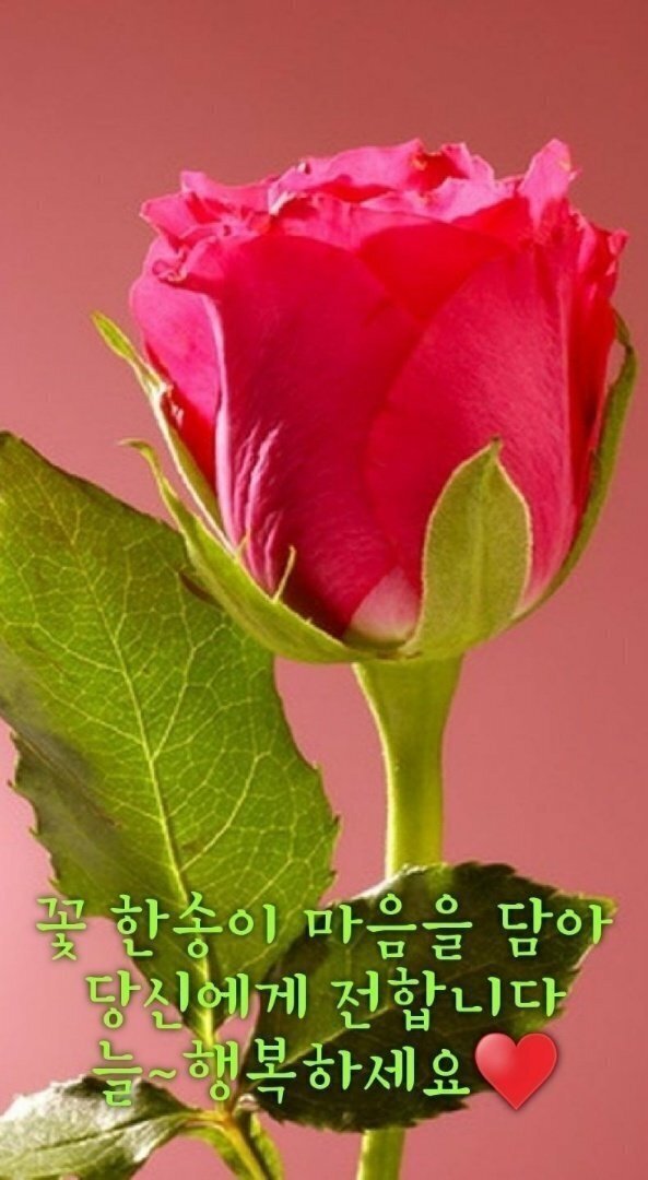 정이네몰 이미지