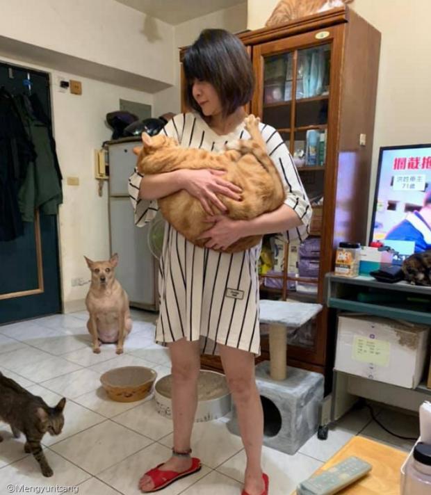 어와둥둥 이미지