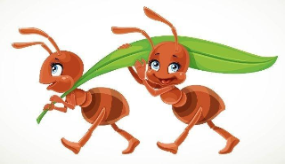 개미와 베짱이 이미지