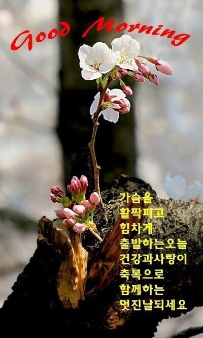 멋진하루 이미지