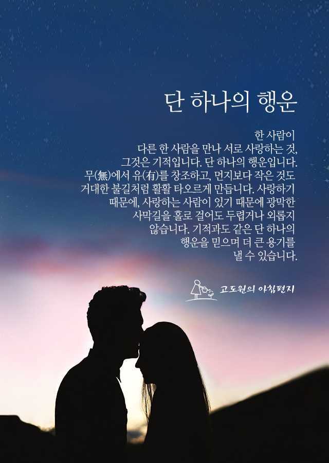 단하나무 이미지