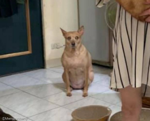 어와둥둥 이미지