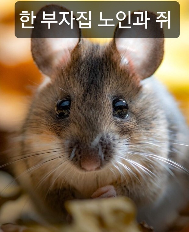 부자집 이미지