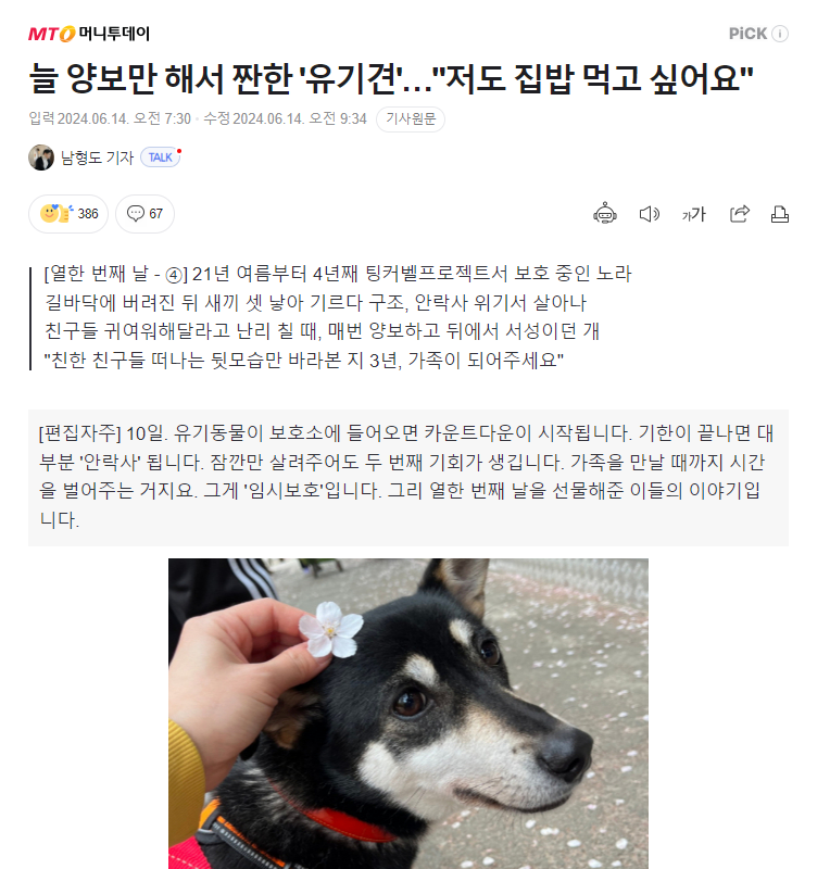 노라 이미지