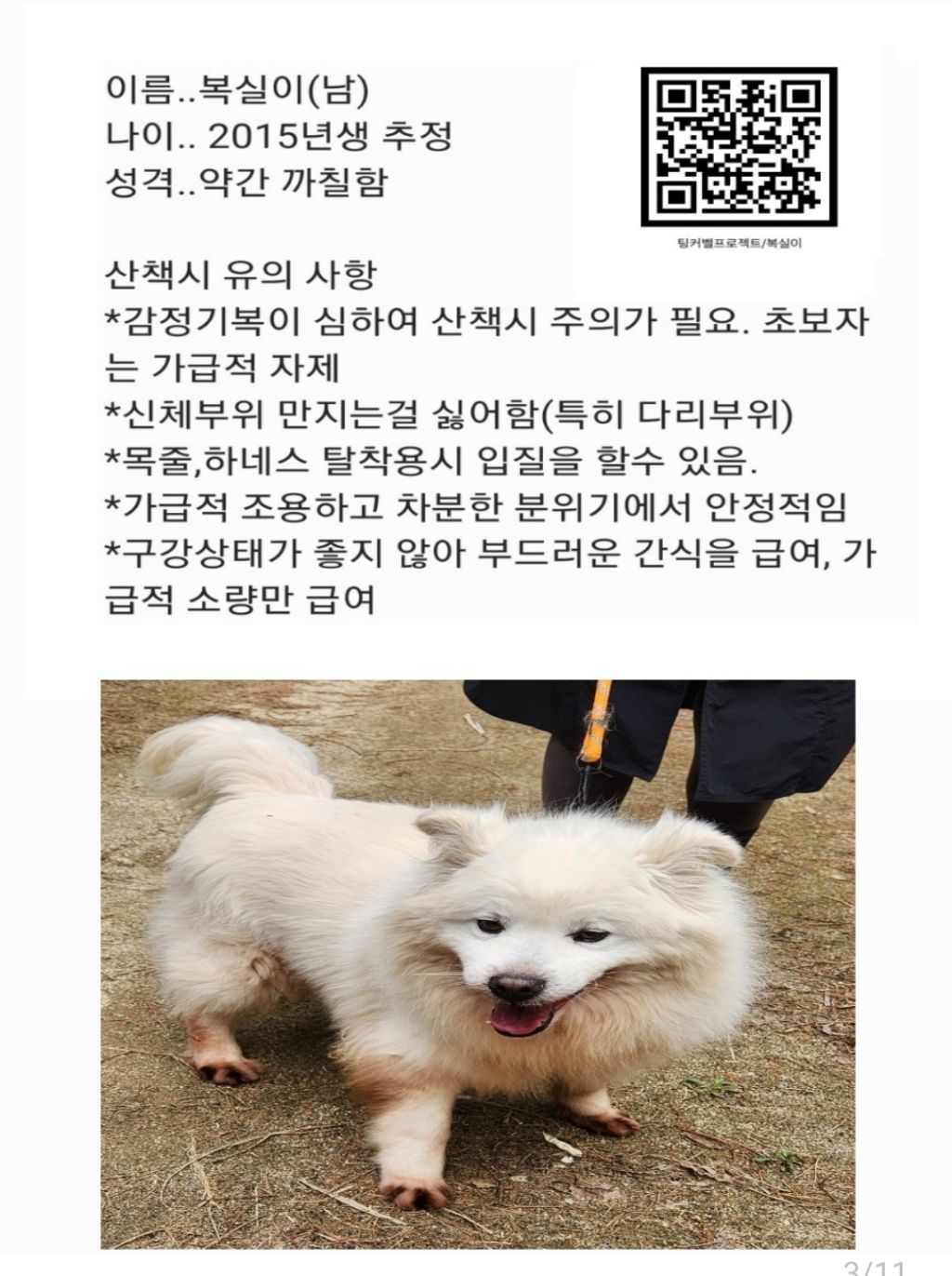 복실이 이미지