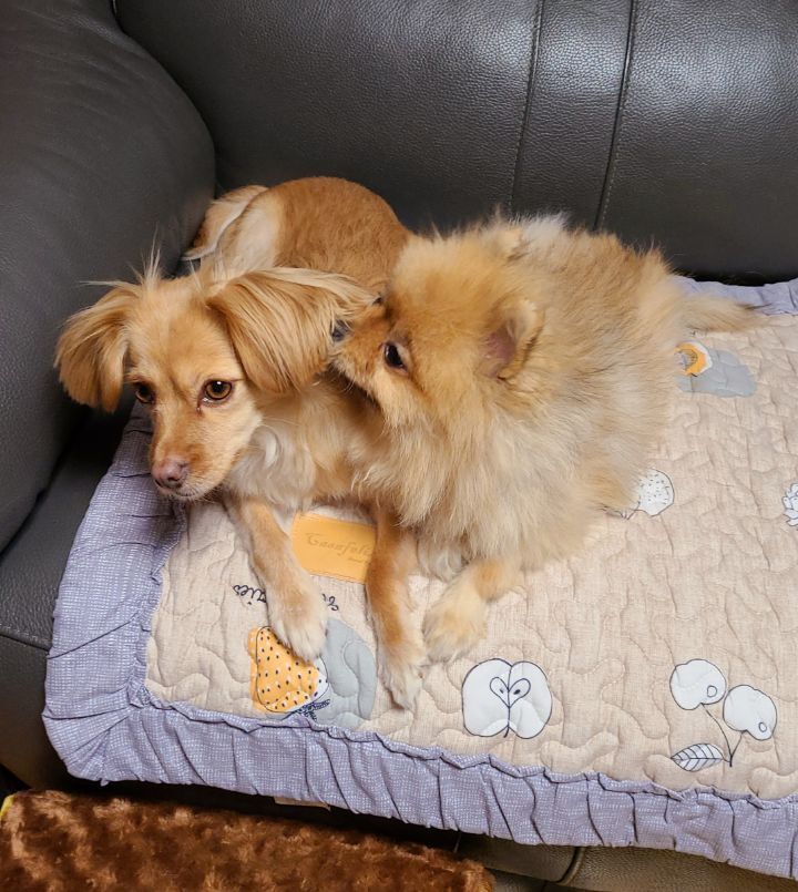 카페54 이미지