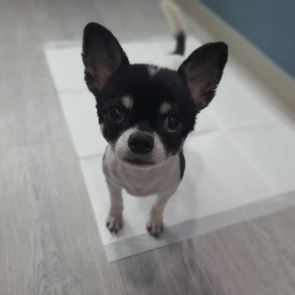 미르환경 이미지