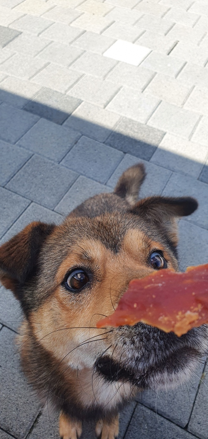 오공이 이미지