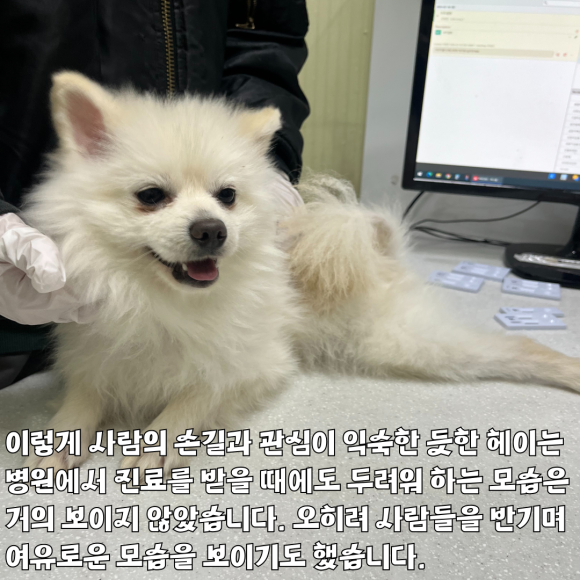헤이스토리 이미지