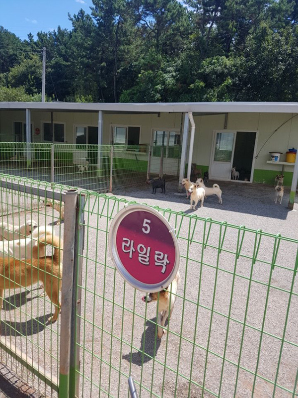위드천사 이미지
