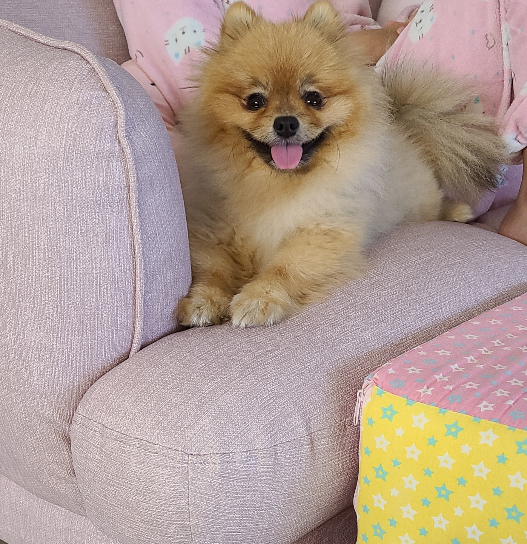 카페일기 이미지