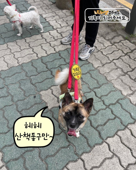 큐티 이미지