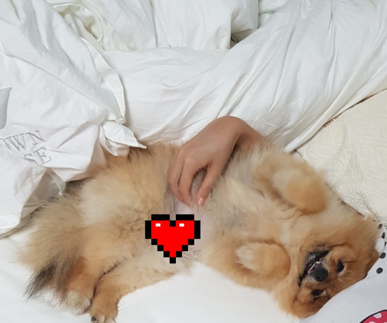 카페일기 이미지